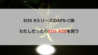 わたしだったEOS R50を買う