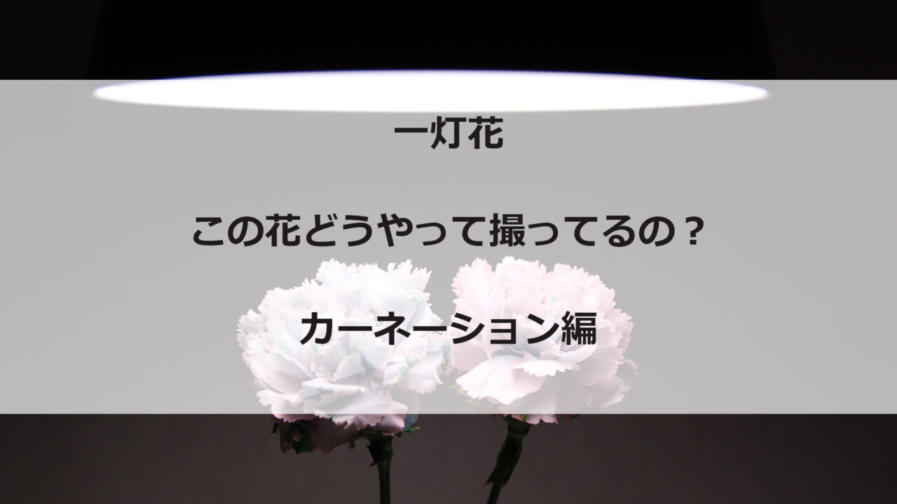 一灯花　カーネーション　スタンドライト