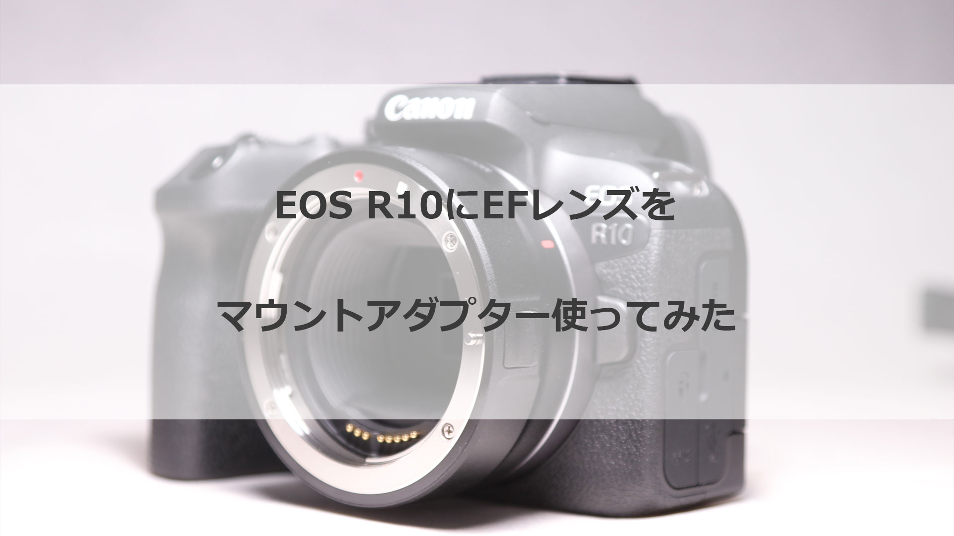 EOS R10などのAPS-CでEFレンズを活用！マウントアダプター徹底ガイド 