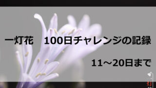 一灯花100日チャレンジ11から20日までの記録アイキャッチ