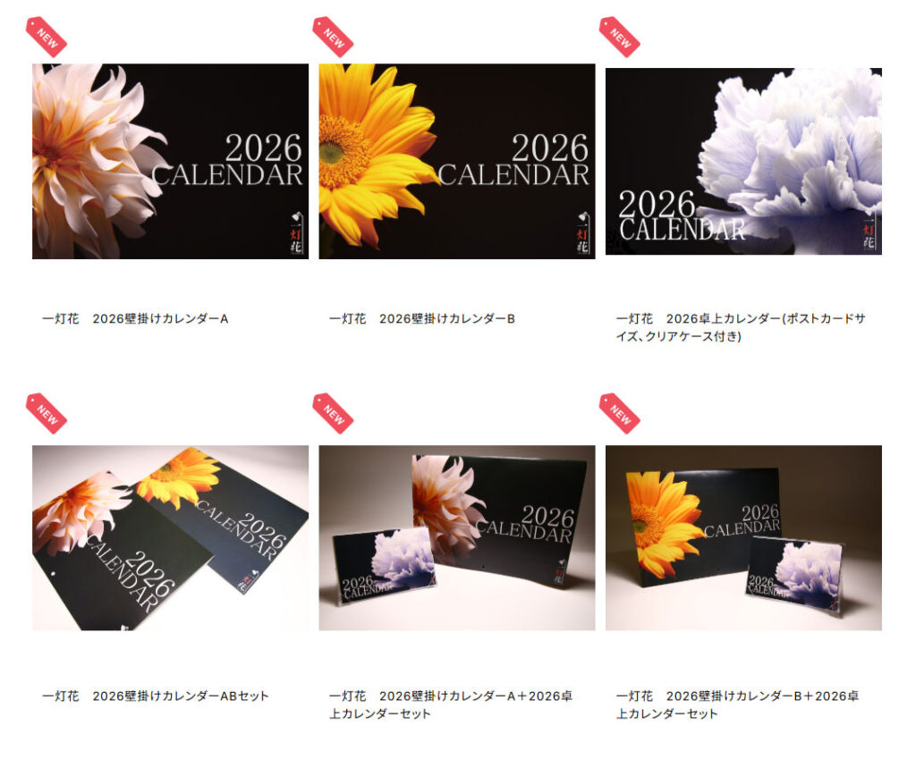 れーぜふぉとのショップ画像