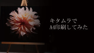 キタムラ　A4　アイキャッチ