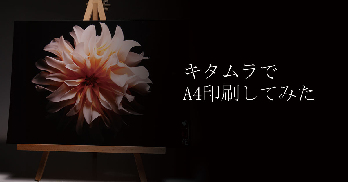 キタムラ　A4　アイキャッチ